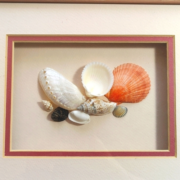 Vintage 2 Real Seashell Shadow Boxes Wooden Framed Wall Coastal Beach Art - Picture 2 of 9